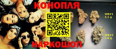 прущие грибы Тулун