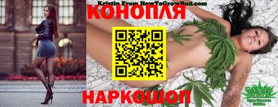 мдпв Тула