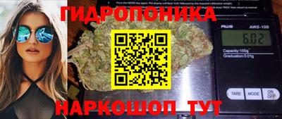 мдпв Тула